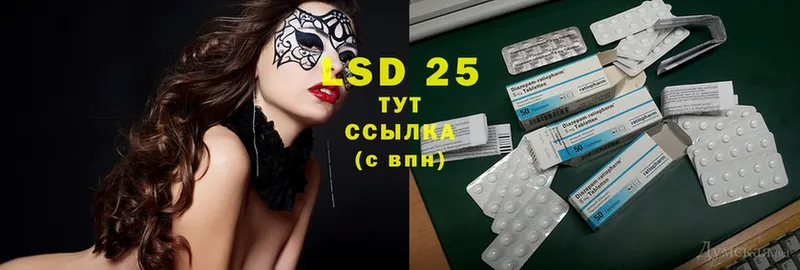 купить закладку  Богородицк  LSD-25 экстази ecstasy 